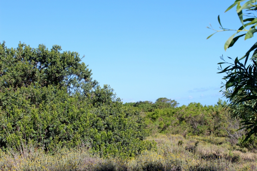 0 Bedroom Property for Sale in Forest Downs Eastern Cape